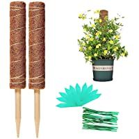 Comius Sharp 2 Postes de Coco de 11.8 Pulgadas- tótem de Coco de Coco- Palo de Coco de Musgo para extensión de Soporte…